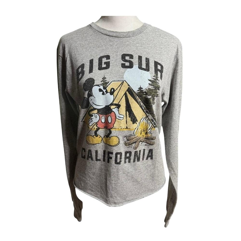 Disney Mickey Mouse Big Sur California Cropped Tee Size S Gorpcore - Picture 4 of 8